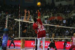 Το πλήρες πρόγραμμα της Volley League