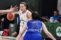 Final Four Κυπέλλου Γυναικών: Ο Παναθηναϊκός θα αντιμετωπίσει τον ΠΑΣ Γιάννινα και Ελευθερία Μοσχάτου τη Νίκη Λευκάδας