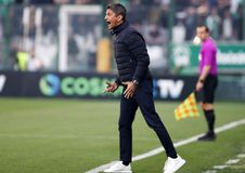 Ράζβαν Λουτσέσκου ετών 55: Οι ευχές και το αφιέρωμα της ΠΑΕ ΠΑΟΚ για τα γενέθλια του Ρουμάνου τεχνικού