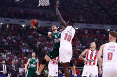 Πονίτκα: «Το πνεύμα του Ομπράντοβιτς είναι ακόμα ζωντανό στον Παναθηναϊκό»