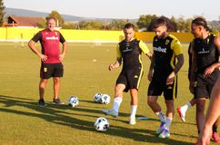 Άρης: Ακολούθησε μέρος της προπόνησης ο Δώνης