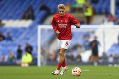 «Πονοκέφαλος» στην Άρσεναλ με Έντεγκααρντ