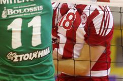 Στο CEV Cup ο Ολυμπιακός, πιθανοί οι ελληνικοί «εμφύλιοι»