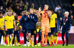 Βασικός υποψήφιος για την εθνική Σουηδίας παλαίμαχος άσος του Ολυμπιακού