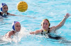 Σπουδαίο διπλό της ΝΕ Πατρών κόντρα στην ΑΕΚ