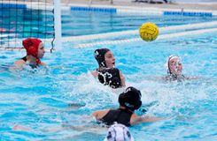 Μεγάλη νίκη για τον ΠΑΟΚ στον Άλιμο - «Καθάρισε» εύκολα ο Πανιώνιος