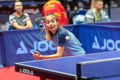 Η αποστολή για τα προκριματικά του Ευρωπαϊκού πρωταθλήματος ομαδικού ανδρών-γυναικών