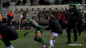 Απίθανη στιγμή: Ο Μπράντον σηκώθηκε από τον πάγκο και τράβηξε τον Μλαντένοβιτς για να τον σταματήσει (vid)