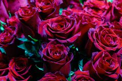 Ο μόνος γνήσιος και αδυσώπητος έρωτας, είναι η ομάδα