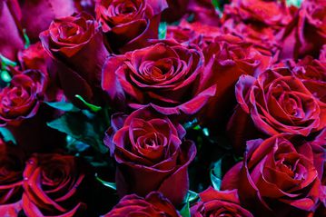 Ο μόνος γνήσιος και αδυσώπητος έρωτας, είναι η ομάδα