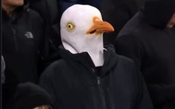 «Προσγειώθηκε» γλάρος στο Άνφιλντ! Η πιο viral εικόνα του FA Cup είχε… φτερά (pic)