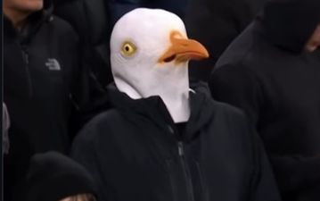 «Προσγειώθηκε» γλάρος στο Άνφιλντ! Η πιο viral εικόνα του FA Cup είχε… φτερά (pic)