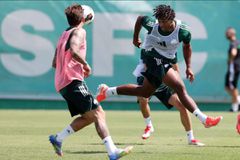 Παναθηναϊκός: Ανακοινώθηκαν οι αρχηγοί, χωρίς προβλήματα ενόψει Βέστερλο