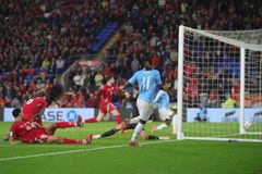 Ένας απρόσμενος... εισβολέας διέκοψε το Ουαλία - Βέλγιο