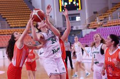 Ολυμπιακός - Παναθηναϊκός: «Μάχες» στα παρκέ, «πόλεμος» έξω από αυτά