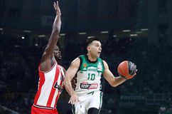 Τα χρήματα που πήρε ο πρωταθλητής Ευρώπης Παναθηναϊκός και ο Ολυμπιακός φέτος από την Euroleague