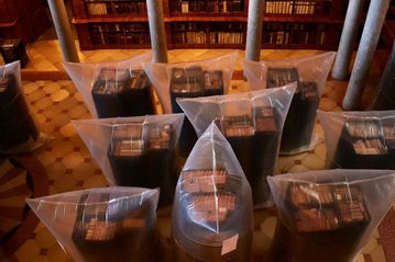 Ουγγαρία: Σκαθάρια απειλούν 100.000 βιβλία στην αρχαιότερη βιβλιοθήκη της χώρας