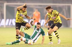 Κύπελλο Ελλάδας: Για το βήμα πρόκρισης Παναθηναϊκός, Ολυμπιακός και ΑΕΚ