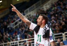 Παναθηναϊκός: Νοκ άουτ ο Νίκος Παππάς - Έμφαση στο τακτικό κομμάτι