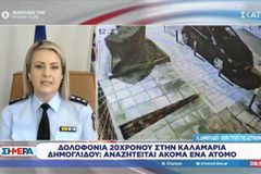 Δημογλίδου για τη δολοφονία του 20χρονου: «Αναζητείται ακόμα ένα άτομο, άγνωστη η αιτία της επίθεσης»