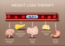 Φάρμακα Απώλειας Βάρους: Πώς Λειτουργούν και Ποιες Είναι οι Διαφορές τους