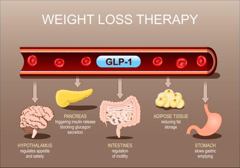 Φάρμακα Απώλειας Βάρους: Πώς Λειτουργούν και Ποιες Είναι οι Διαφορές τους