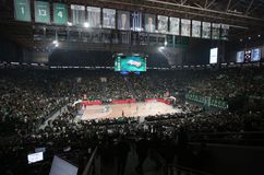 Στη διάθεση των φίλων του Παναθηναϊκού τα εισιτήρια διαρκείας της σεζόν 2025/2026 για νέους κατόχους