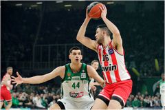 Ποιος θα κατακτήσει το Κύπελλο Ελλάδας; Φαβορί ο Παναθηναϊκός - Οι αποδόσεις Ολυμπιακού, Άρη και Προμηθέα