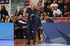 Καστρίτης: «Ο Παναθηναϊκός AKTOR ήταν καλύτερος, είμαστε περήφανοι»