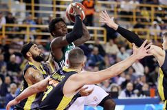 Στον τελικό του Κυπέλλου ο Παναθηναϊκός, ξεπέρασε και τον Άρη και φουλάρει για επιστροφή στους τίτλους