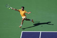 Ο Αλκαράθ έκανε τατουάζ ένα καγκουρό - Ο λόγος (pic)