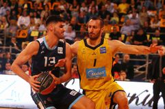 Επιβεβαιώθηκαν οι φόβοι: Ρήξη χιαστού ο Καμαριανός