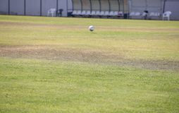 Σε κακή κατάσταση ο αγωνιστικός χώρος στο Αιγάλεω-ΑΕΚ (pics)