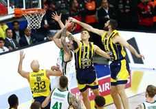 Δεν «εμφανίστηκε» ο Παναθηναϊκός στην Πόλη και παραδόθηκε στη Φενέρμπαχτσε