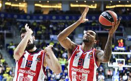 Το Βελιγράδι θυμίζει... Πειραιά και ο Ερυθρός Αστέρας του Σφαιρόπουλου είναι η μόνη αήττητη ομάδα της Euroleague (gallery, vids)