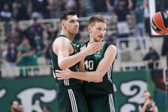 O Παναθηναϊκός συναντά στο ΟΑΚΑ την «καυτή» Βίρτους Μπολόνια του Τόρνικε Σενγκέλια