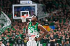 «Κόλαση» η Zalgirio Arena: Sold out και για τον αγώνα με τον Παναθηναϊκό