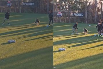 Σκύλος έκανε... ντου στην προπόνηση του ΠΑΟΚ (vid)