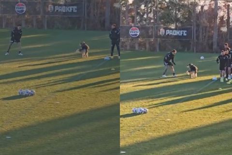 Σκύλος έκανε... ντου στην προπόνηση του ΠΑΟΚ (vid)