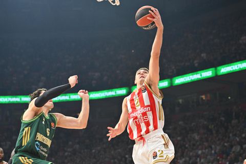 Μιλιένοβιτς: «Σοβαρή ομάδα σε όλες τις θέσεις ο Παναθηναϊκός!»