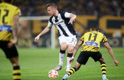 Κούρτιτς από το νέο έτος