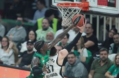 Αποχωρεί από την Παρτίζαν και ο Πονίτκα!