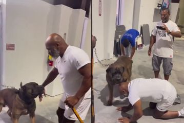 Το παιχνίδι του Μάικ Τάισον με έναν... γιγάντιο σκύλο