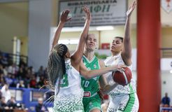 Έκανε το 6/ 6 ο Παναθηναϊκός στην Α1 Γυναικών