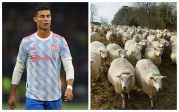 Ο Κριστιάνο πουλάει το παλάτι των... προβάτων που είχε στην Αγγλία για έξι εκατ. ευρώ