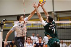 Πού θα δείτε το Παναθηναϊκός - Φλοίσβος για τον τελικό του Κυπέλλου Ελλάδας