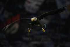 «Πόσο λείπεις Μπενίτο»: Σάλος με αναρτήσεις υπέρ του Μουσολίνι από άνθρωπο της Λάτσιο