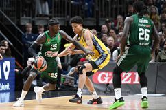 Με τις γνωστές απουσίες ο Παναθηναϊκός, ένα ερωτηματικό για την Άλμπα: Το ιατρικό δελτίο της Παρασκευής (21/3)