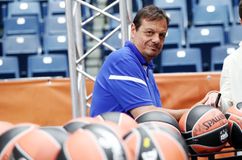 Οι στόχοι του Αταμάν με τον Παναθηναϊκό: «Θέλει μεγάλη προσπάθεια για να παίξεις στο Final Four και να γίνεις πρωταθλητής»