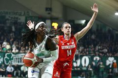 Ολυμπιακός εναντίον Παναθηναϊκού, πράξη τρίτη στους τελικούς της Α1 Γυναικών